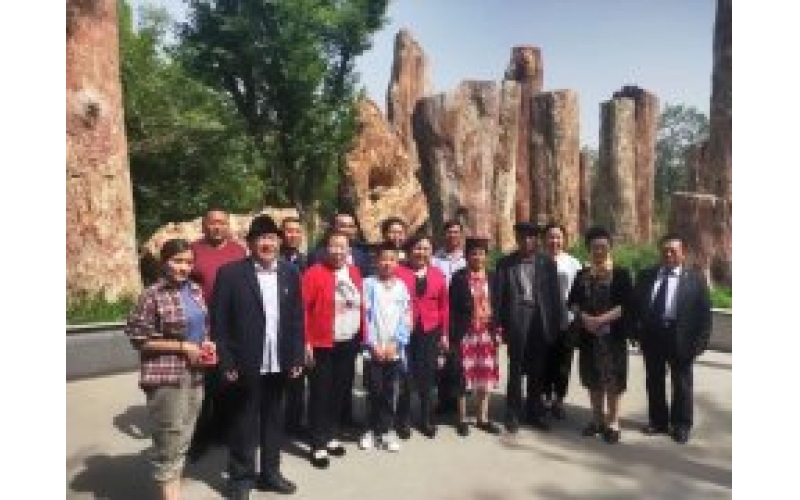 獲評“全國最美家庭”的22戶新疆家庭走進野馬集